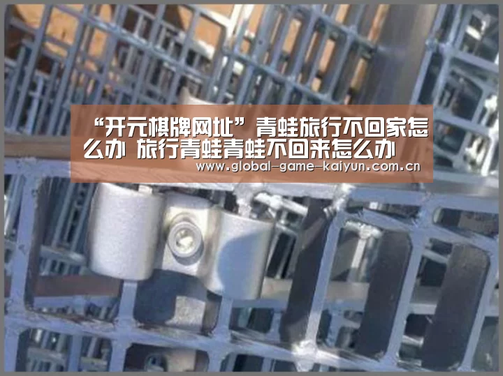“开元棋牌网址”青蛙旅行不回家怎么办 旅行青蛙青蛙不回来怎么办(图1) 开云体育网站