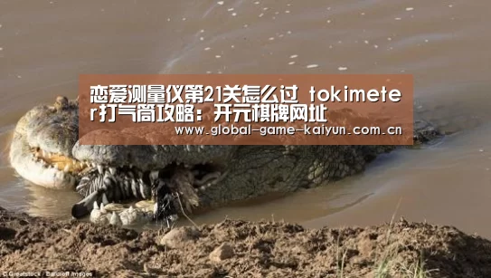 恋爱测量仪第21关怎么过 tokimeter打气筒攻略:开元棋牌网址(图1) 开元棋牌网址
