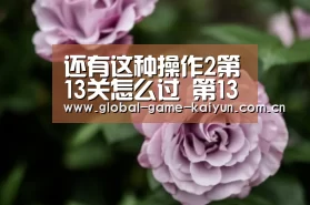 还有这种操作2第13关怎么过 第13关通关攻略:惊喜不断。开云体育内容丰富(图3) 开元棋牌网址